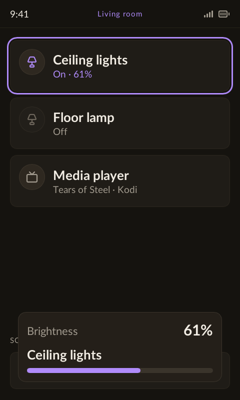Living room device list with a brightness card for Ceiling lights